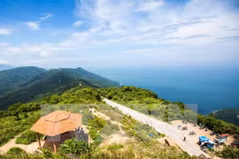 Inauguran sistema global de sitios web Travel.VN