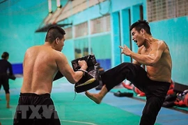 Pencak silat, la esperanza dorada de Vietnam en ASIAD 2018