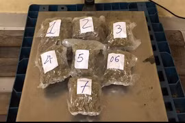 Incautan 57 kilogramos de metanfetamina traslada a través del aeropuerto Tan Son Nhat