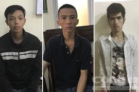 Ciudad Ho Chi Minh inicia procedimiento legal contra 4 individuos por destrucción intencional de bienes