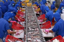 China entre los principales importadores de mariscos vietnamitas
