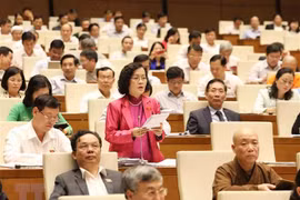 Electores vietnamitas proponen priorizar recursos para el desarrollo 