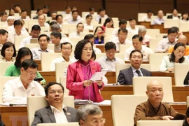 Electores vietnamitas proponen priorizar recursos para el desarrollo 