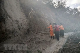 Indonesia: Isla de Lombok sufre otro temblor de magnitud 3,3 grados