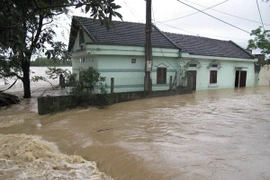 Provincias vietnamitas impulsan recuperación en áreas golpeadas por inundaciones