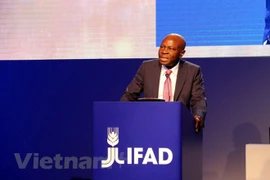 Vietnam participa en 41 reunión de Consejo Administrativo de IFAD
