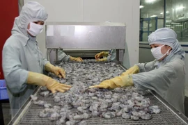 Demandan a EE.UU. revisar resultados de derechos antidumping impuestos a camarones vietnamitas