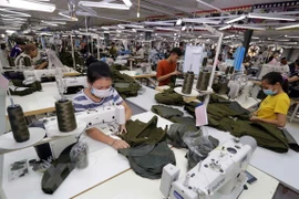 Empresas en Delta del Mekong mantienen buen desempeño en 2017