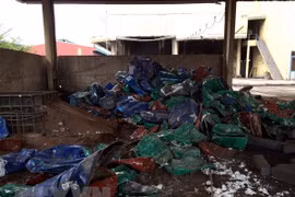  Vietnam refuerza control de importación de productos chatarra