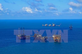 Grupo petrolero de Vietnam aumenta su reserva en 2018