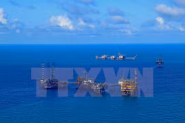 Grupo petrolero de Vietnam aumenta su reserva en 2018