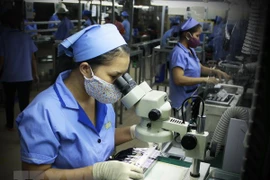 Países Bajos ayuda a Ciudad Ho Chi Minh en desarrollo de Sistemas Microelectromecánicos