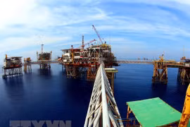 Expertos analizan medidas para agilizar explotación petrolera en Vietnam