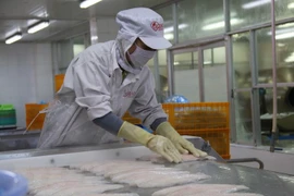 Siguen en tendencia alcista ventas de pescado Tra de Vietnam a Estados Unidos 