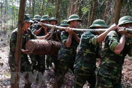 Trasladan a zona segura bomba de 225 kilogramos hallada en provincia norvietnamita 