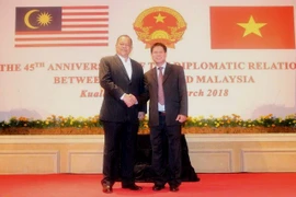Vietnam y Malasia mantienen excelentes relaciones de colaboración 