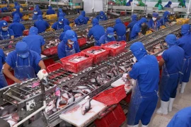 En tendencia alcista las exportaciones acuáticas de Vietnam en enero