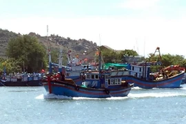 Sociedad de Pesca de Vietnam se opone a la veda china en Mar del Este
