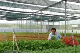Agricultura inteligente: oportunidades y desafíos para Vietnam