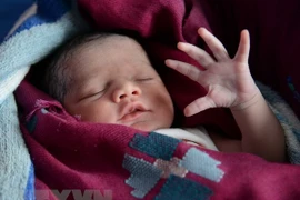 Vietnam se esfuerza por luchar y prevenir el tráfico de bebés