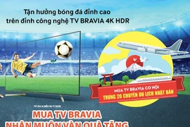 El mercado de televisores de Vietnam se calienta durante la Copa Mundial de Fútbol