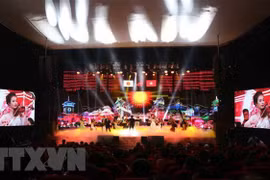 Velada musical Vietnam-Japón en saludo al aniversario 45 de nexos diplomáticos