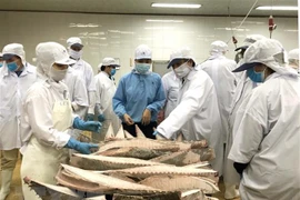 Parlamento Europeo aprecia esfuerzos de Vietnam contra la pesca ilegal 
