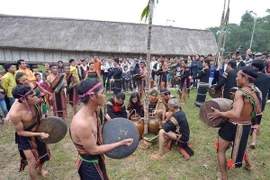 Gongs - ecos de bosques y montañas