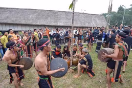Gongs - ecos de bosques y montañas