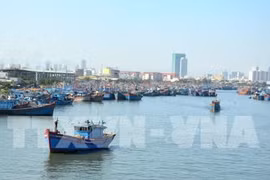 Thanh Hoa trabaja por combatir contra pesca ilegal 