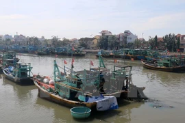 Embajada de Vietnam protege derechos de pescadores arrestados en Indonesia 