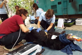 Vietnam impulsa protección de animales silvestres