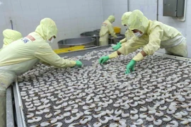Vietnam por mantener desarrollo estable de acuicultura 