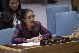 Vietnam exhorta a Consejo de Seguridad de ONU a resolver conflicto israelí-palestino