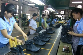 Empresas de cuero de Vietnam e India buscan lazos más fuertes