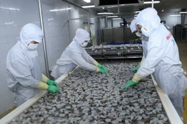 Vietnam se esfuerza por el levantamiento de tarjeta amarilla impuesto por UE 