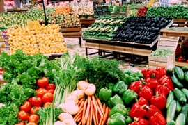 Hanoi dispone de 80 cadenas de suministro de productos agrícolas limpios