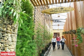 Green Box, nuevo modelo de agroturismo en Da Lat