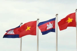 Conmemoran en Ciudad Ho Chi Minh victoria sobre régimen genocida en Camboya