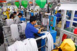 IED cambia el desarrollo socioeconómico de Vietnam en los últimos 30 años 