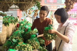 Prevé exportación de longan vietnamita a mercado australiano en 2019