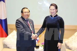 Presidenta del Parlamento vietnamita recibe a líderes legislativos extranjeros 