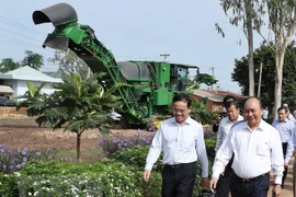 Premier de Vietnam visita modelos agrícolas de alta tecnología en Tay Ninh 