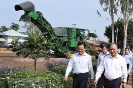 Premier de Vietnam visita modelos agrícolas de alta tecnología en Tay Ninh 