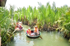 Cam Thanh, territorio de las palmas de agua