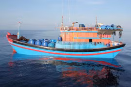 Vietnam refuerza la lucha contra pesca ilegal, no declarada y no reglamentada