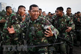 Indonesia considera crear una fuerza especial contra terrorismo 