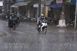 Destacan aportes de Vietnam a esfuerzos regionales para prevenir desastres naturales