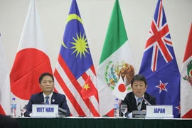 CPTPP será vital para el desarrollo sostenible en Vietnam, afirma ministro