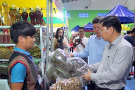 Reportan nutrida participación en primer mercado de ginseng Ngoc Linh en 2018 